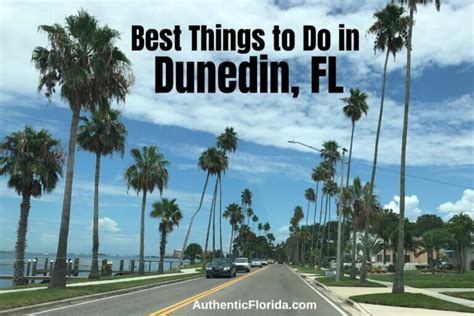 things to do in dunedin florida.